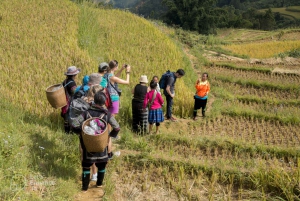Vanuit Hanoi: 2-daagse Sapa-Fansipan Peak & Trek & Ha Giang Bus