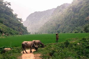 Desde Hanói: Excursión Privada de 3 Días al Lago Ba Be y las Cataratas Ban Gioc