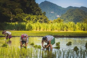 Desde Hanói: Excursión Privada de 3 Días al Lago Ba Be y las Cataratas Ban Gioc