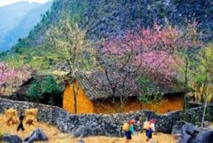 サパ発：地元のライダーと行く3日間のハザイ・ループオフロード