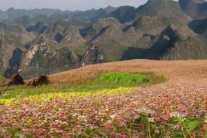 サパ発：地元のライダーと行く3日間のハザイ・ループオフロード