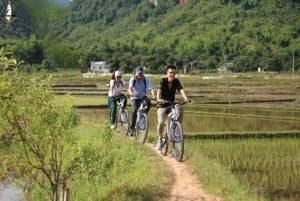 Au départ de Hanoï : croisière 5 étoiles de 3 jours dans la baie d'Halong - circuit à Ninh Binh