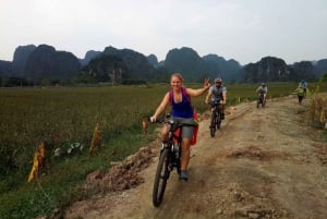 Au départ de Hanoï : croisière 5 étoiles de 3 jours dans la baie d'Halong - circuit à Ninh Binh