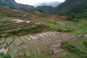 Hanoi-SaPa: 3-daagse trektocht door gastgezinnen om etnische culturen te ontdekken