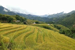 Hanoi-SaPa: 3-daagse trektocht door gastgezinnen om etnische culturen te ontdekken