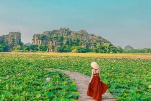 From Hanoi: 3-Day Luxury Tour Ninh Binh & Ha Long Bay Cruise