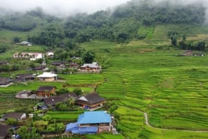 Hanoi: 2 of 3-daagse motorrit Ha Giang Loop met Easy Rider