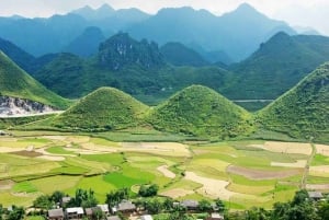 From Hanoi: 3-Day Motorbike Ha Giang Loop with Easy Rider