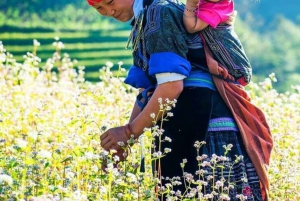 Au départ de Hanoi : visite guidée de 3 jours à Sapa avec hôtel 3 étoiles
