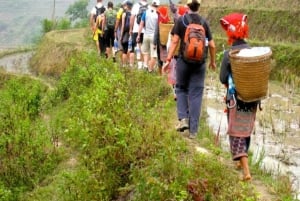 Da Hanoi: tour di 3 giorni a Sapa con pernottamento in famiglia e Fansipan