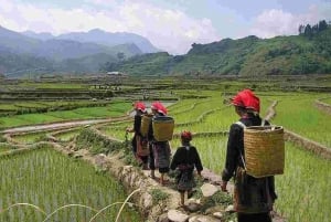 Fra Hanoi: 3-dagers vandring i Sapa med guide, innkvartering og måltider