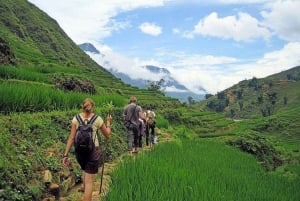 Fra Hanoi: 3-dagers vandring i Sapa med guide, innkvartering og måltider