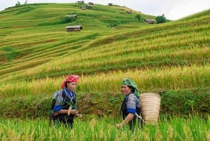 Fra Hanoi: 3-dagers vandring i Sapa med guide, innkvartering og måltider