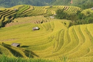 Fra Hanoi: 3-dagers vandring i Sapa med guide, innkvartering og måltider