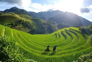 Fra Hanoi: 3-dagers vandring i Sapa med guide, innkvartering og måltider