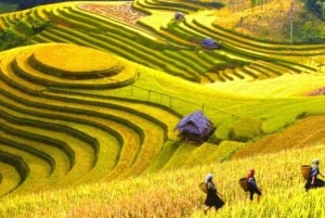 Fra Hanoi: 3-dagers vandring i Sapa med guide, innkvartering og måltider