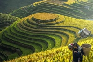 Fra Hanoi: 3-dagers vandring i Sapa med guide, innkvartering og måltider