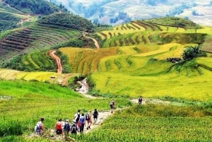 Fra Hanoi: 3-dagers vandring i Sapa med guide, innkvartering og måltider