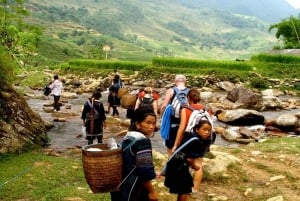 Fra Hanoi: 3-dagers vandring i Sapa med guide, innkvartering og måltider