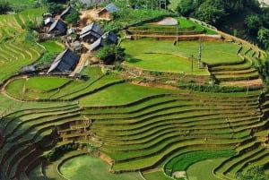 Fra Hanoi: 3-dagers vandring i Sapa med guide, innkvartering og måltider