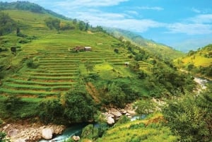 Fra Hanoi: 3-dagers vandring i Sapa med guide, innkvartering og måltider