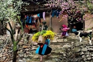 Fra Hanoi: 3-dagers vandring i Sapa med guide, innkvartering og måltider