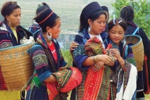 Fra Hanoi: 3-dagers vandring i Sapa med guide, innkvartering og måltider
