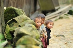 Fra Hanoi: 3-dagers vandring i Sapa med guide, innkvartering og måltider