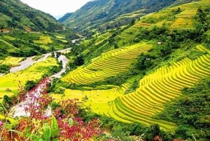 Fra Hanoi: 3-dagers vandring i Sapa med guide, innkvartering og måltider
