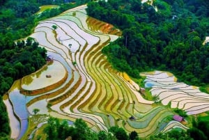 Fra Hanoi: 3-dagers vandring i Sapa med guide, innkvartering og måltider