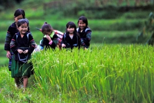 Hanoista: 3 päivän Sapa-retki oppaan, kotimajoituksen ja aterioiden kanssa.
