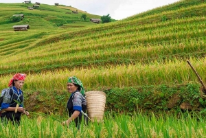 Hanoista: 3 päivän Sapa-retki oppaan, kotimajoituksen ja aterioiden kanssa.