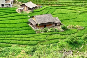 Fra Hanoi: 3-dages Sapa Trekking (overnatning på hotel & homestay)