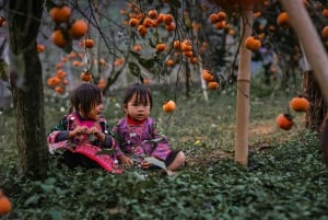 From Hanoi: 4-Day Moc Chau Tea Plantation and Waterfall Tour