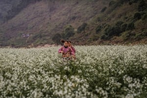 From Hanoi: 4-Day Moc Chau Tea Plantation and Waterfall Tour