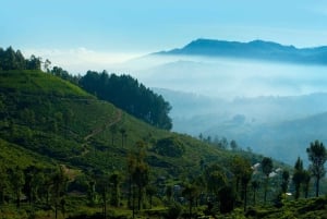From Hanoi: 4-Day Moc Chau Tea Plantation and Waterfall Tour
