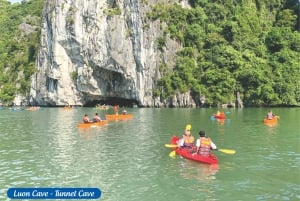 From Hanoi: 5-Day Northern Sapa, Ninh Binh & Halong Bay Tour