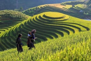 Z Hanoi: 5-dniowy rejs po zatoce Ha Long, Ninh Binh i Sapa