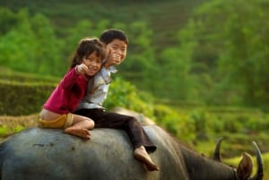 Z Hanoi: 5-dniowy rejs po zatoce Ha Long, Ninh Binh i Sapa