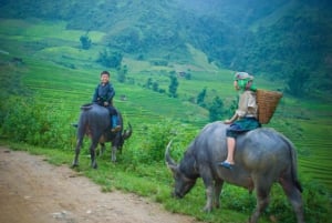 Z Hanoi: 5-dniowy rejs po zatoce Ha Long, Ninh Binh i Sapa