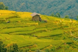 Z Hanoi: 5-dniowy rejs po zatoce Ha Long, Ninh Binh i Sapa