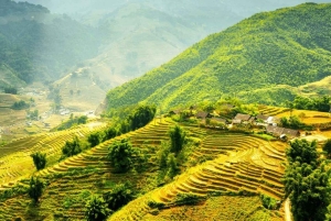 Z Hanoi: 5-dniowy rejs po zatoce Ha Long, Ninh Binh i Sapa