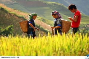 Z Hanoi: 5-dniowy rejs po zatoce Ha Long, Ninh Binh i Sapa