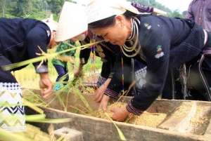 Z Hanoi: 5-dniowy rejs po zatoce Ha Long, Ninh Binh i Sapa