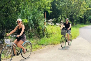 Z Hanoi: 5-dniowy rejs po zatoce Ha Long, Ninh Binh i Sapa