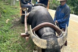 From Hanoi: A Journey 3 days Terraces, Temples & Caves