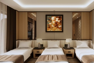 Hanoista: Ylellinen kahden päivän matka Ha Longiin ja Lan Ha Bayhin