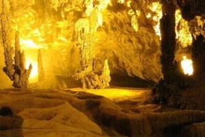 From Hanoi: Ban Gioc Waterfall 2 Days 1 Night Small Group