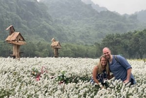 Hanoista: 2 päivän Ninh Binh -kierros majoituksella ja aterioilla