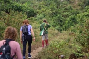 Ha noi: Grupo Cao Bang Loop - Recorrido en coche : 4 días 3 noches